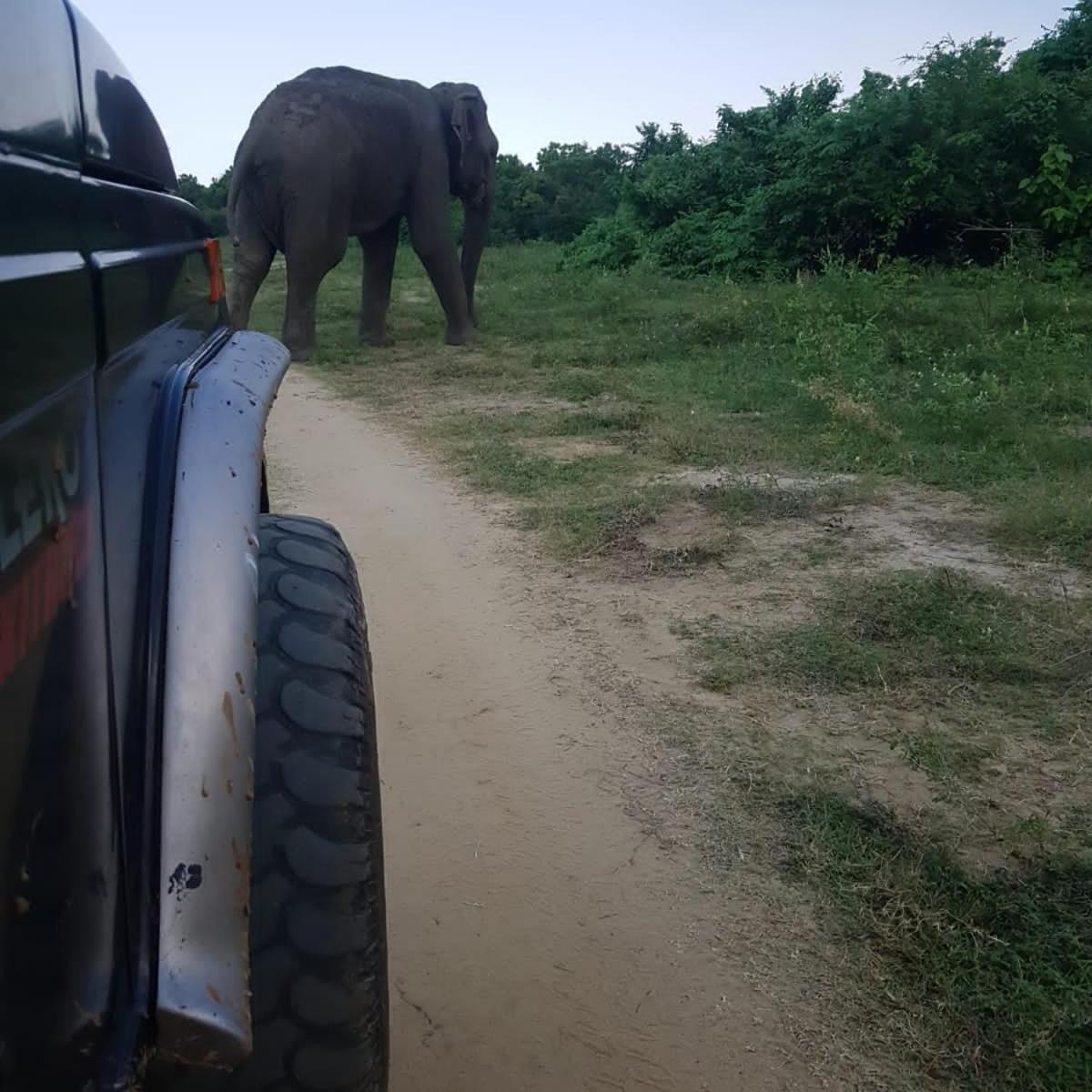 Masiya Safari Service Udawalawe Hotel ภายนอก รูปภาพ