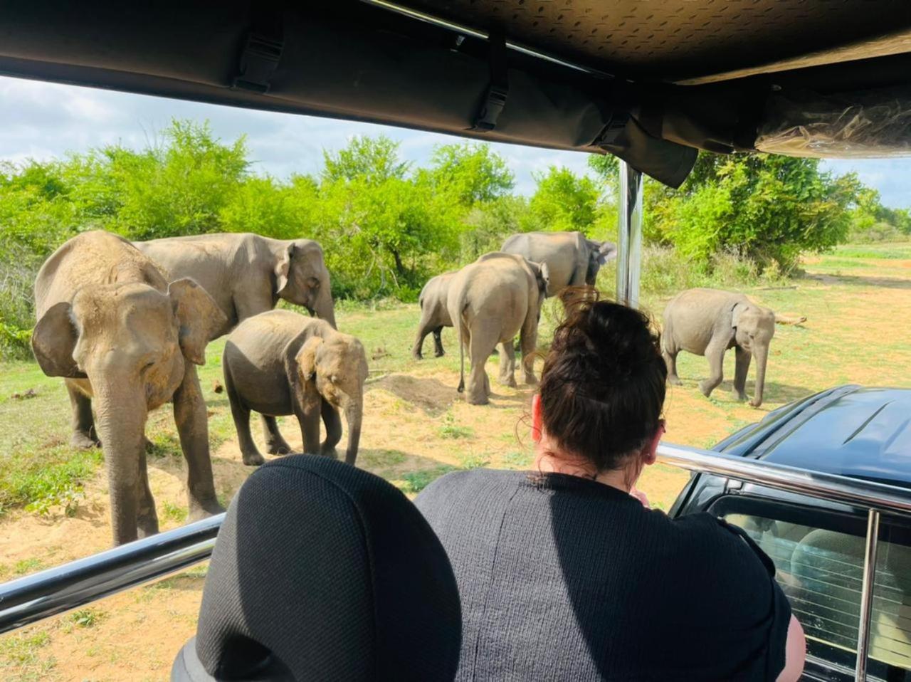 Masiya Safari Service Udawalawe Hotel ภายนอก รูปภาพ